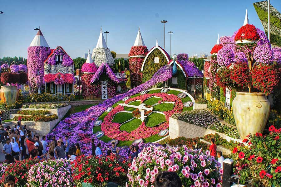 Dubai-Miracle-Garden-Timings-Location-and-Tickets-scaled