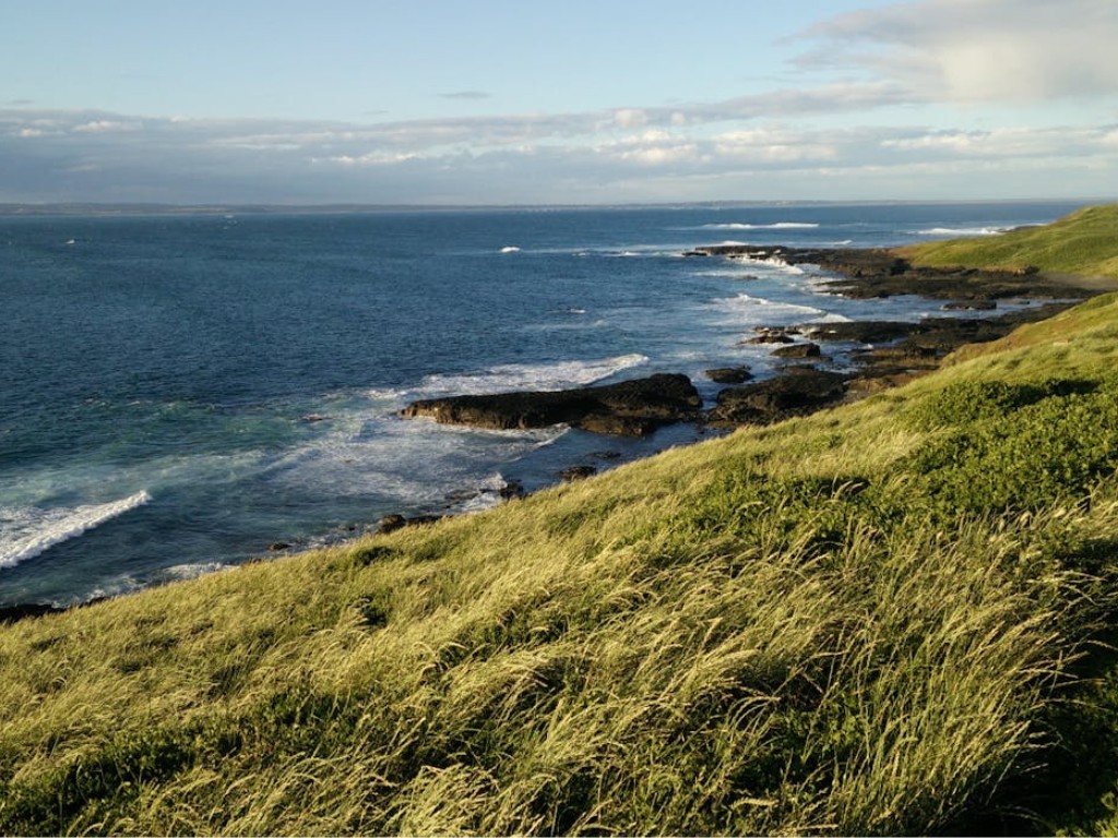 17 Exciting Activities In Melbourne For Adults Trip to phillip island