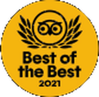 Best of the Best 2021