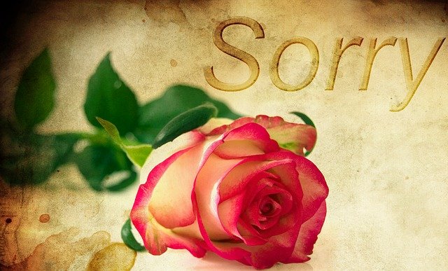 sorry image