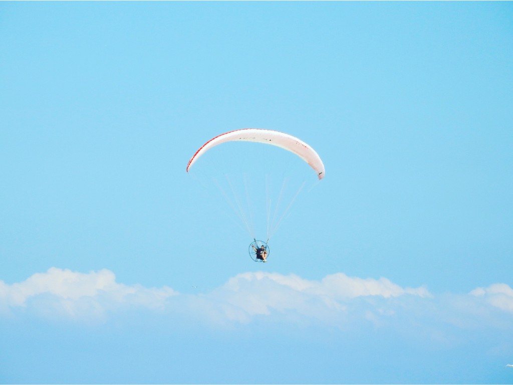 Experience the Best Adrenaline Activities in Sydney heart pounding free fall