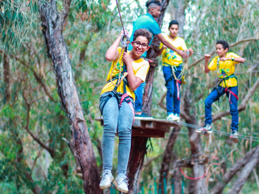 soar through the treetops