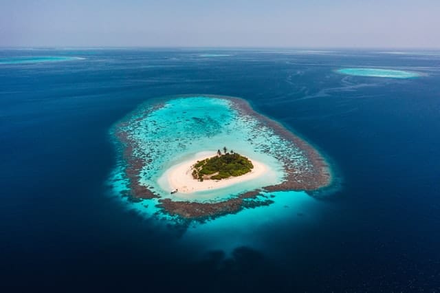 deserted island castaways
